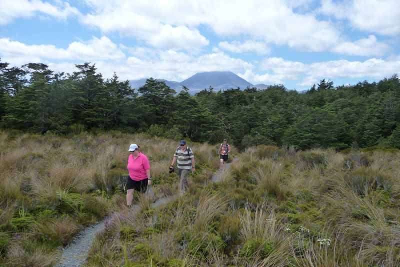 Nieuw-Zeeland 2011 - 0825